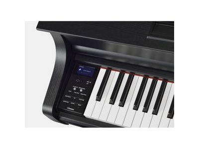 Yamaha Clavinova CLP845 Digital Piano click to zoom image