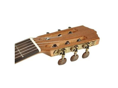 Salvador Cortez CC22 Classical Guitar click to zoom image