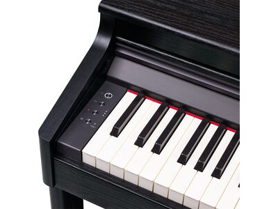 Roland RP701 Digital Piano click to zoom image