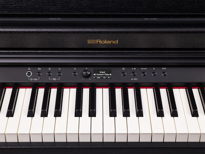 Roland RP701 Digital Piano click to zoom image