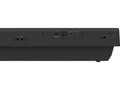 Roland FP30X Digital Piano click to zoom image