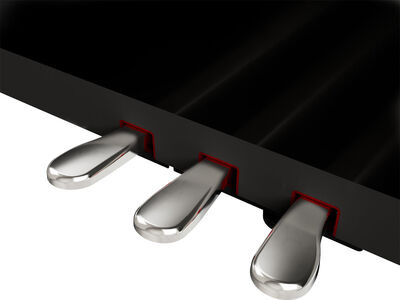Roland LX-9 Digital Piano click to zoom image