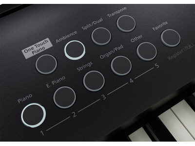 Roland FP-E50 Portable Piano click to zoom image