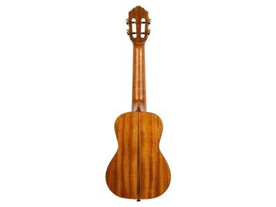 Ortega Custom Built Series Concert Ukulele click to zoom image