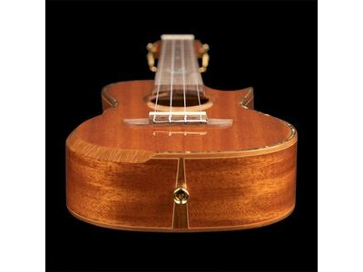 Ortega Custom Built Series Concert Ukulele click to zoom image
