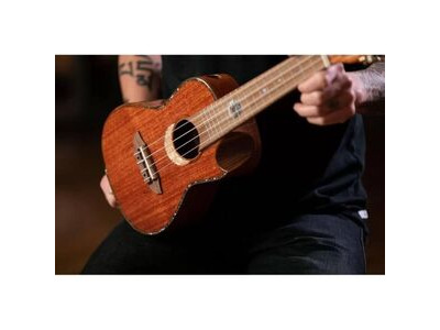 Ortega Custom Built Series Concert Ukulele click to zoom image