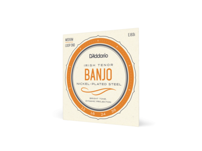 D'Addario EJ63i Irish Tenor Banjo Strings, Nickel, 12-36