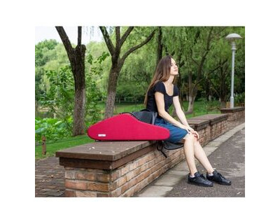 Monaghan Music Aileen Violin Hard Case Ultra Light Case with Hydrometer click to zoom image