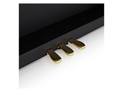 Casio AP710 Celviano Digital Piano click to zoom image