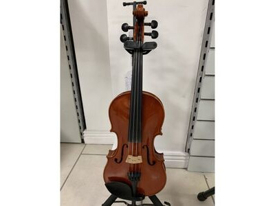 Zhou Qian 4/4 Violin & Hard case click to zoom image
