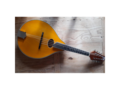 Harmonic Strings HS2 Solid Spruce Mandolin with bag 