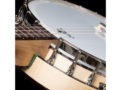 Clareen Special Tenor Banjo click to zoom image