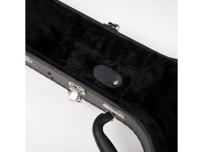 Clareen Banjo Case click to zoom image
