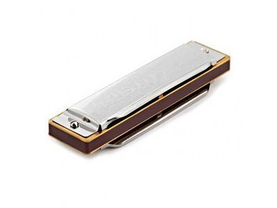 Suzuki Folkmaster Diatonic Harmonica Key of G click to zoom image