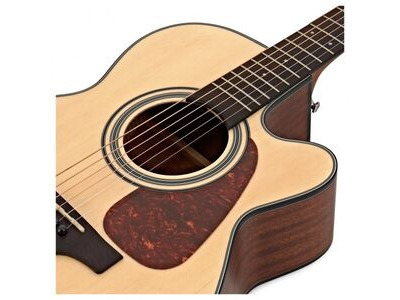 Takamine TKGN10CE Electro Acoustic Guitar click to zoom image