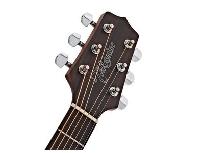 Takamine TKGN10CE Electro Acoustic Guitar click to zoom image