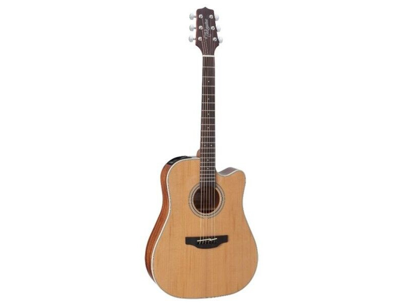 Takamine GD20CENS Acoustic Dreadnaught Cutaway Guitar click to zoom image