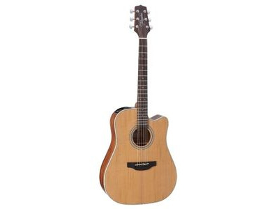 Takamine GD20CENS Acoustic Dreadnaught Cutaway Guitar 