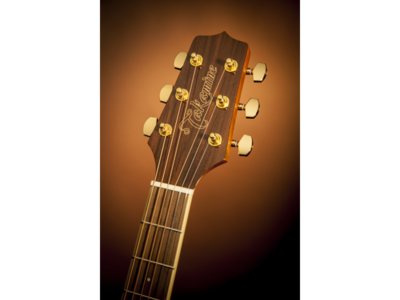 Takamine GD51CEBSB Electro Acoustic Guitar