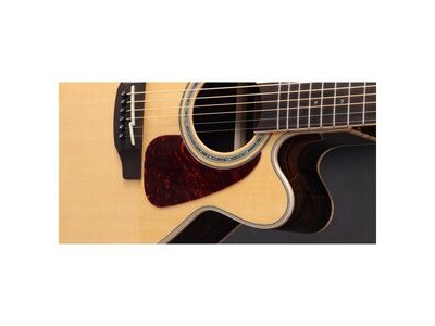 Takamine TKGN90CEZC Electro Acoustic Guitar click to zoom image