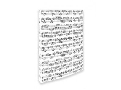 Agifty Ring Binder Notelines (White, A4, 2 rings, 20mm) 