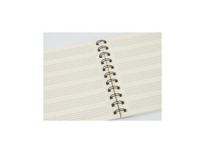 Agifty Spiral Notebook: Violin Design click to zoom image