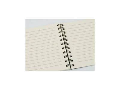 Agifty Spiral Notebook: Violin Design click to zoom image