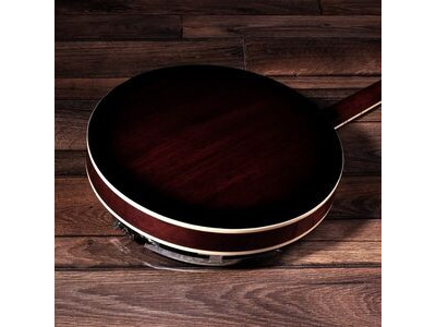 Barnes & Mullins 6 String Banjo click to zoom image