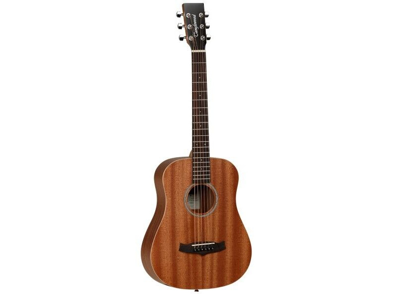 Tanglewood TW2T Acoustic Guitar click to zoom image