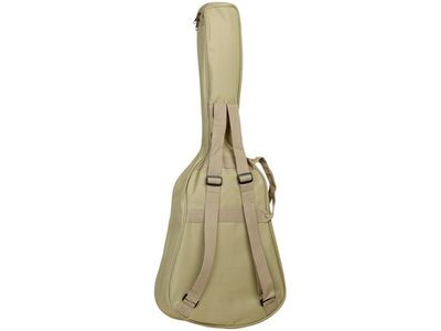 Tanglewood TW2T Acoustic Guitar click to zoom image