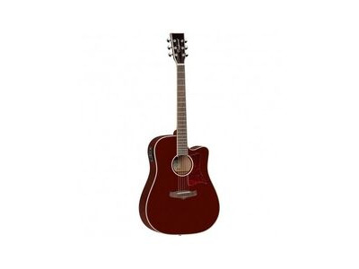 Tanglewood TW5 Winterleaf Series Semi Acoustic Guitar 