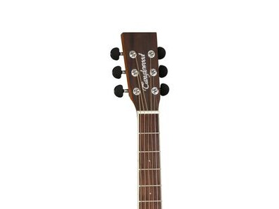 Tanglewood DBTSFCEBW Electro Acoustic Guitar click to zoom image