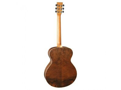 Tanglewood DBTFHR Folk Spruce & Hawaiian Rainwood Acoustic Guitar click to zoom image