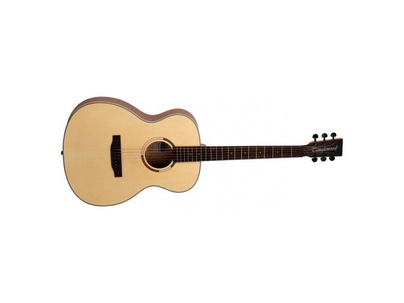 Tanglewood Folk Acoustic Guitar click to zoom image