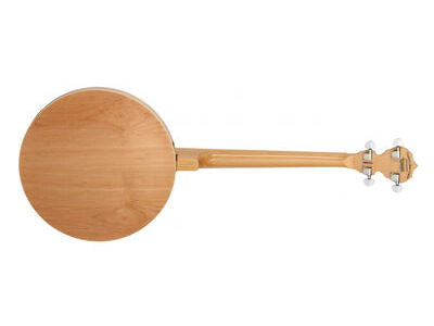 Tanglewood TWB18M4 tenor Banjo click to zoom image
