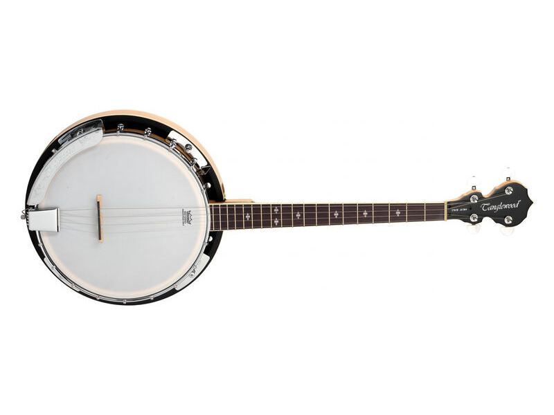 Tanglewood TWB18M4 tenor Banjo click to zoom image