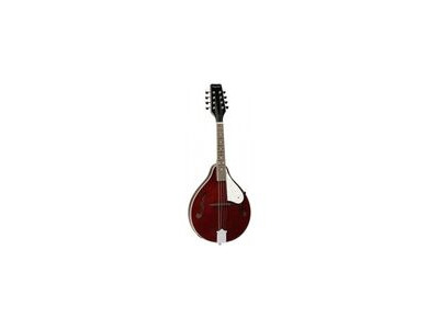 Tanglewood TWMTWR Mandolin