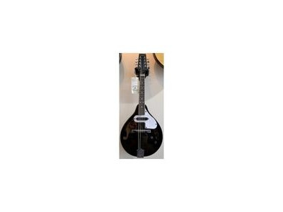Tanglewood TWMTBKPE Electric Acoustic Mandolin 