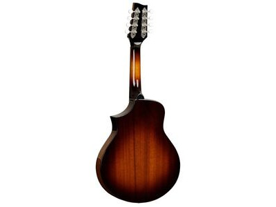 Tanglewood TSM M Masterdesign Mandolin click to zoom image