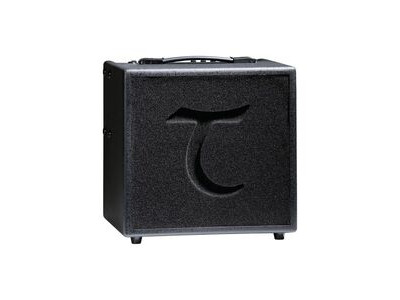 Tanglewood T6 Acoustic Guitar Amplifier