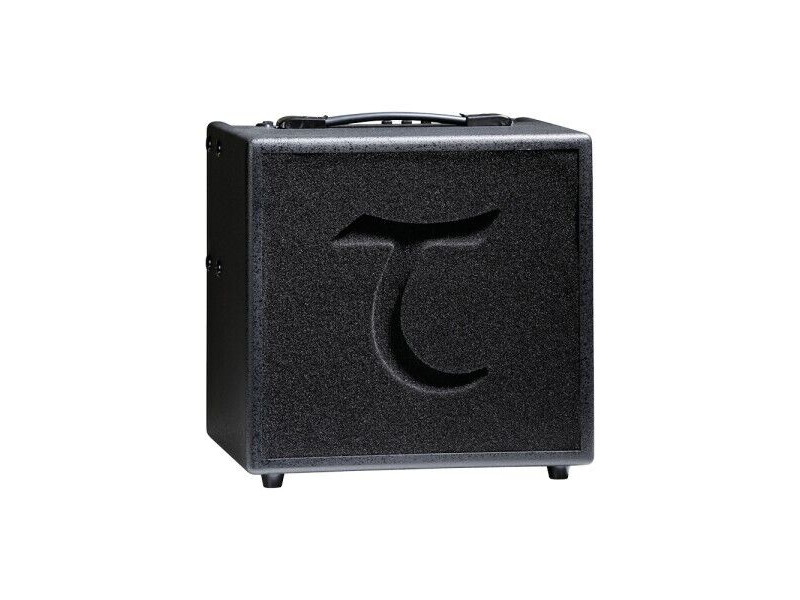 Tanglewood T6 Acoustic Guitar Amplifier click to zoom image