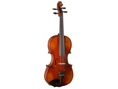 Hidersine Piacenza Violin 4/4 Size Outfit click to zoom image