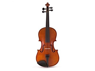 Hidersine Vivente Academy Violin 4/4 Outfit W3180A click to zoom image